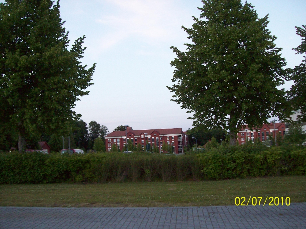 113.jpg